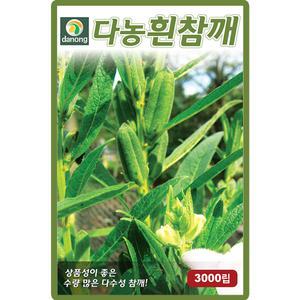 다농 흰참깨 씨앗 3000립 다수성 흰색 참깨씨 종자
