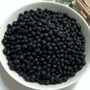 국산 약콩 쥐눈이콩 1kg 햇콩 2024년 서목태 속이 파란 속청