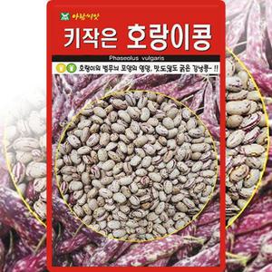 아람종묘 키작은 호랑이콩 씨앗 30g 비넝쿨성 호랑이강낭콩 씨 종자