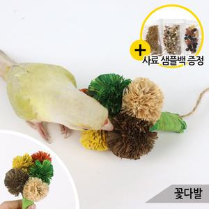 꽃다발 앵무새 버드토이 모란 코뉴어 장난감 805-118