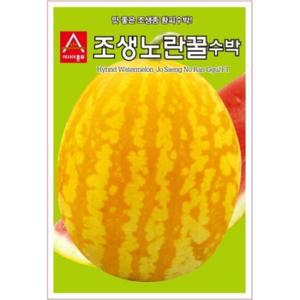 아시아종묘 씨앗 수박 조생노란꿀 10립