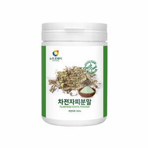 차전피차 차전자 차전자피 차전차 식이섬유 가루 인도