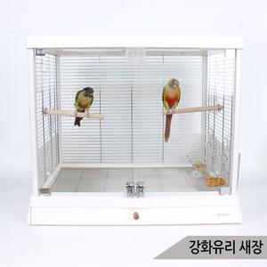 심플 강화유리 새장 앵무새 케이지 투명 용품 B6045SS