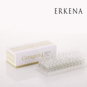 에르케나 세라겐 앰플 2ml x 60EA