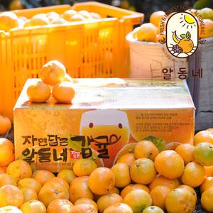 알동네 제주 봄 감귤 카라향 4.5kg 소과