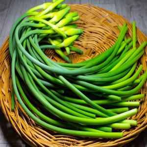 봄 제철 농산물 전라도 순천 고흥 국산 햇 마늘쫑 2kg
