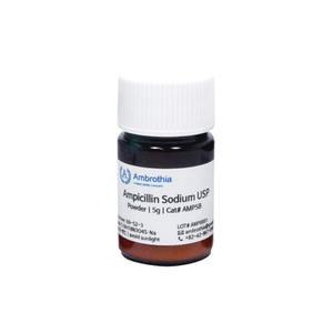 AMP5B 암브로티아 미생물 실험 Ampicillin Sodium 5g 암피실린 파우더 과학 연구 페니실린 시약 Powder