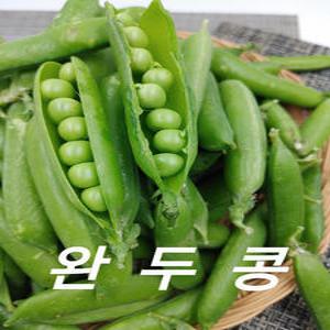 완두콩 국내산 햇완두콩 1관 4kg 내외 야채맘
