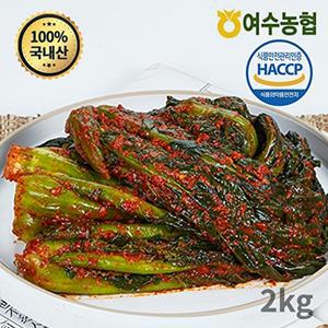 [여수농협][여수농협] 여수돌산 갓김치 2kg