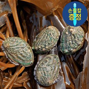 큰전복 8-9미 1kg(8-9마리)