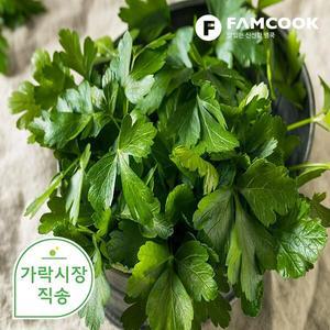가락시장직송 이태리파슬리 300g