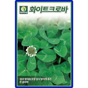다농 화이트크로바 씨앗 20g 흰 클러버씨 잡초방지 토끼풀 종자