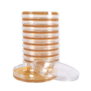 LB Agar Plate 대장균 배지 10개 1세트/ 1PK