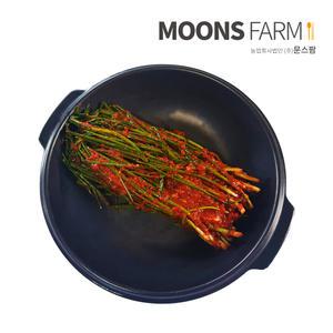 문스팜 파김치 2kg 국산 100% 전라도김치
