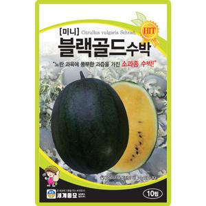 세계종묘 미니 블랙골드 수박 씨앗 10립 소과종 미니 수박씨 종자