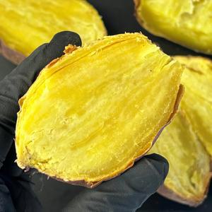 [홍팜] 세척 밤고구마 달밤구마 3kg 5kg 중-상크기