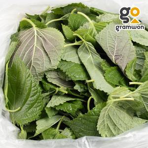 어린 손질 깻잎순 4KG 국내산 생 깻순 깨순