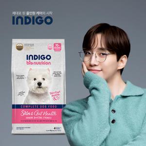 인디고 강아지 알러지 피부사료 면역 앤 스킨 포 독 6kg