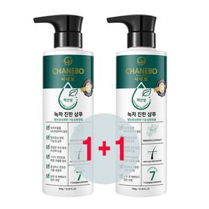 샤네보 녹차진한샴푸 500ml[2개] 지성 두피 관리 비듬관리 탈모케어 두피냄새 제거 사춘기 청소년 세정력좋은샴푸