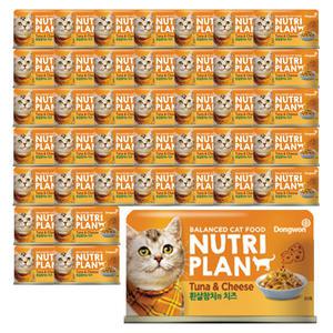 동원 뉴트리플랜 참치와 치즈 160g x 40개 / 고양이 간식 통조림