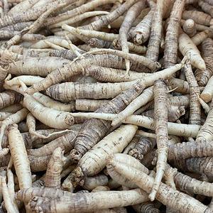국내산 100% 제주 세척 더덕 상품 2kg 장아찌용 액기스용