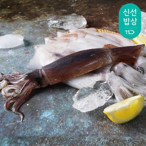 통통하고 신선하고 내장까지 손질한 손질 오징어 270g 5팩
