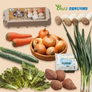 [해남미소] 해남군로컬푸드직매장 신선-과채소 꾸러미(9종)