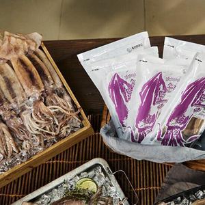 [파인] 자연산 손질통오징어 특대 200g×12미(팩당1미)