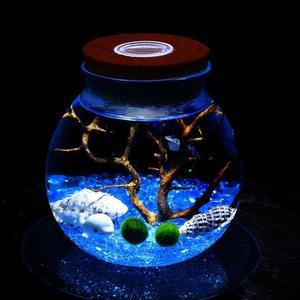 [BZJL3JDD_4C]게더릭 키우기 LED 코르크 유리병 (12x13cm)