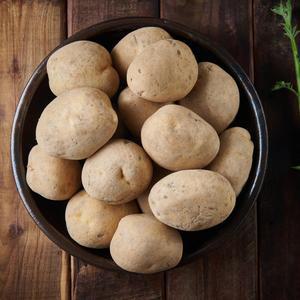 산지직송 햇감자 특5kg 수미감자 알감자 국내산 제철 감자