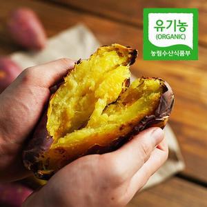 [유기농] 24년수확 해남 황토 밤고구마 2kg(한입)