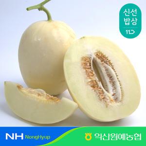 [익산원예농협] 비파괴 당도선별 고당도 백설멜론 5kg (3~5수)