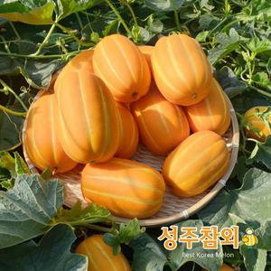 [성주원예]2025 농협 성주참외 2.5kg*2박스/5kg