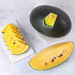 [장터할매]블랙망고수박/노란 고당도