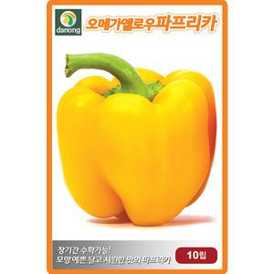 다농 오메가옐로우파프리카 씨앗 10립 노랑 파프리카씨 칼라피망 종자
