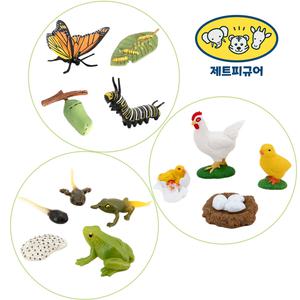 제트피규어 성장과정 성장 동물 곤충 한살이 피규어 3종 세트 개구리 나비 닭