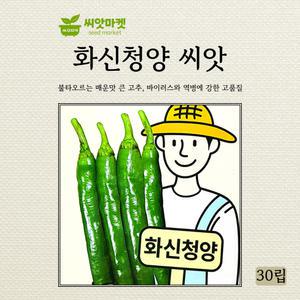 아시아종묘 화신청양 청양고추 씨앗 30립 매운맛 대과종 고추씨 종자