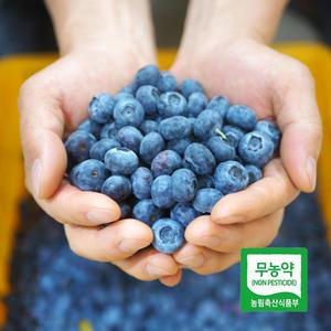 세모농 국산 무농약 생블루베리 생과 500g 1kg