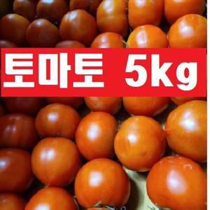 토마토5kg(정품)국내산/크기랜덤