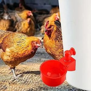 수평컵 조류 급수기 닭 병아리 오리 물통 급수 사료통