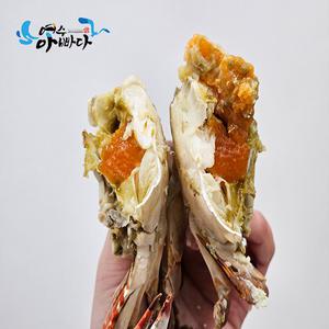 봄 제철 서해안 활 암꽃게(생물) 1kg 국내산 알배기