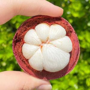 태국 망고스틴 생망고스틴 2kg