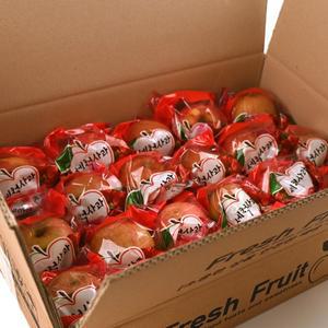 경북 바로먹는 세척사과 2kg