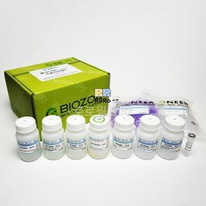 플라스미드 대장균 (플라스미드 DNA 추출용)/생물 과학 실험 재료