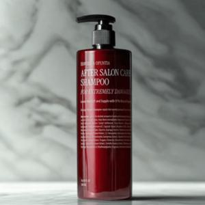 커리쉴 에프터 데일리 두피케어 살롱 케어 샴푸 (극손상) 500ml 1개