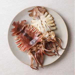 [기타][푸딩팩토리] 촉촉한 반건조 오징어 피데기 대 5미 650g 버터오징어 맥주안주 (면세)