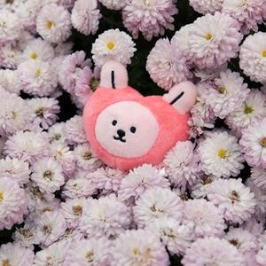마이 버디 인형 키링 - 하트 송이