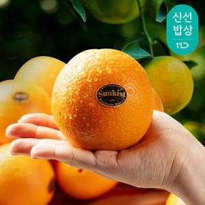 [고당도] 블랙라벨 오렌지 (중소과/중과/ 대과)