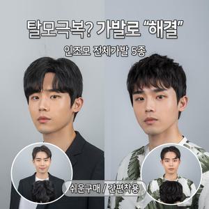 ABC 전체가발 5종 탈모극복 쉬운착용 인조모 남자가발