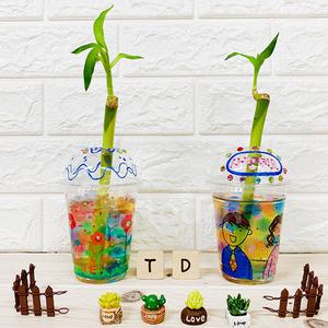 [문구티쳐] 개운죽 키우기 10인세트 DIY 만들기세트 식물키우기 화분만들기